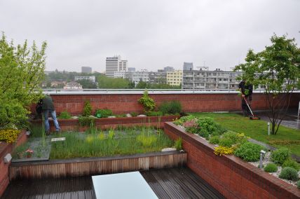 Ilustrační foto - Zelené střechy, zdroj: Svaz zakládání a údržby zeleně